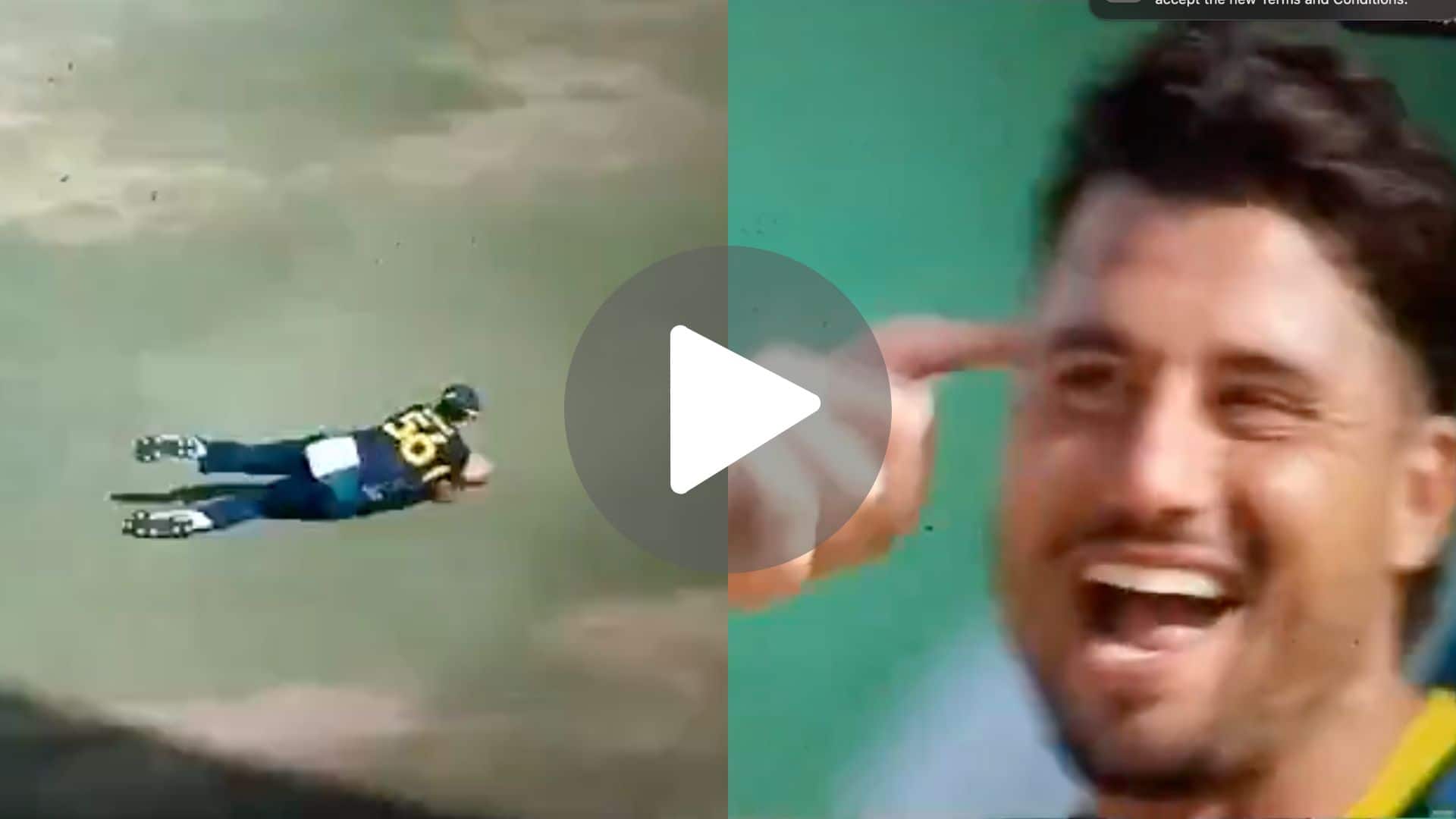 [Watch] Starc Takes A Blinder As Stoinis Gives Evil Smile After Trapping RCB-Boy Will Jacks